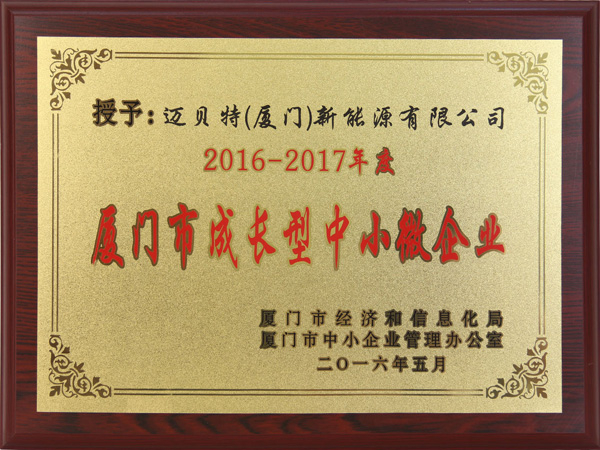 2016-2017年度廈門市成長(zhǎng)型中小微企業(yè)
