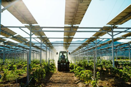 農(nóng)光互補光伏支架系統(tǒng)